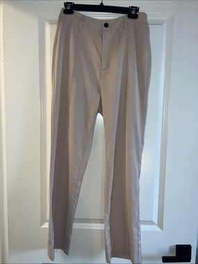 Pleated Dress Pants in Taupe Beige